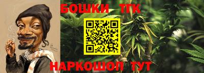твердый Бийск