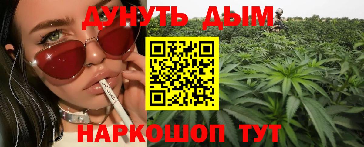 Конопля семена  МАРИХУАНА планчик  Марихуана семена  Вход с VPN  Кандалакша 